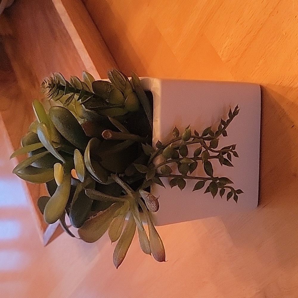 Cute Artificial Plant 7 inches tall